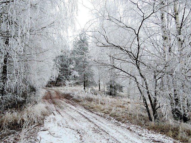zimní cesta