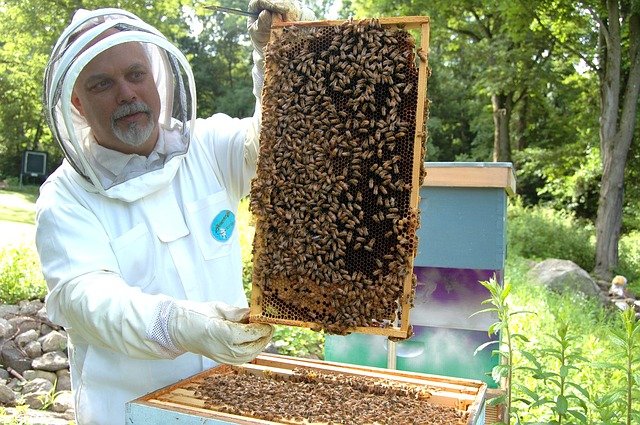 včelař u úlu.jpg